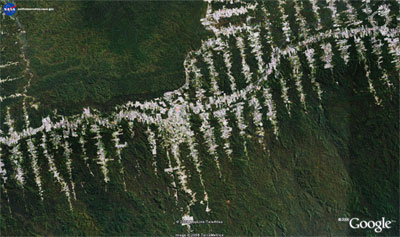 Ejemplo de deforestación causado por la construcción de carreteras. Fuente: Mongabay News
