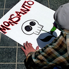 protesting monsanto in san francisco [Foto: Donna Cleveland, via Flickr]