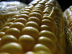 Sweet corn on the cob [foto de Wayne Truong, via Flickr]