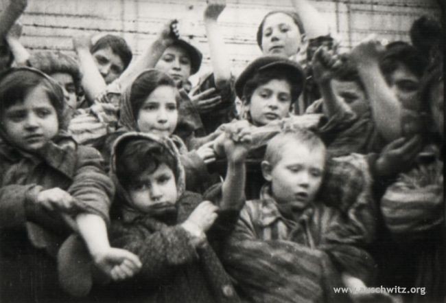 Niños en Auschwitz. Foto: Museo de Auschwitz