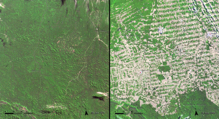 Deforestación, Brasil (Junio 1975 – agosto 2009): Rondônia es parte de la Amazonia brasileña, en la frontera con Bolivia. Es una de las zonas periféricas en expansión dentro de la Amazonía, pasando de alrededor de medio millón de habitantes en 1980 a más de 1,5 millones en 2009. Las principales causas de la deforestación en la Amazonía en su conjunto -y especialmente en Rondônia- son el crecimiento de la población debido a la inmigración promovida por el gobierno y el crecimiento de la industria de productos de madera. 