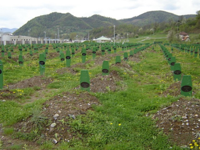 Monumento commemorativo de la Matanza de Srebrenica (extraída de Wikimedia Commons)