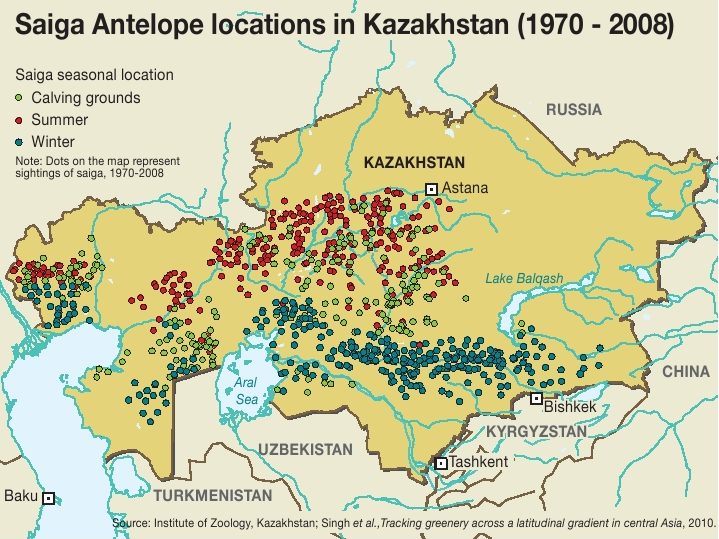 Localizaciones del antílope saiga en Kazajistán [Imagen: Wikipedia]